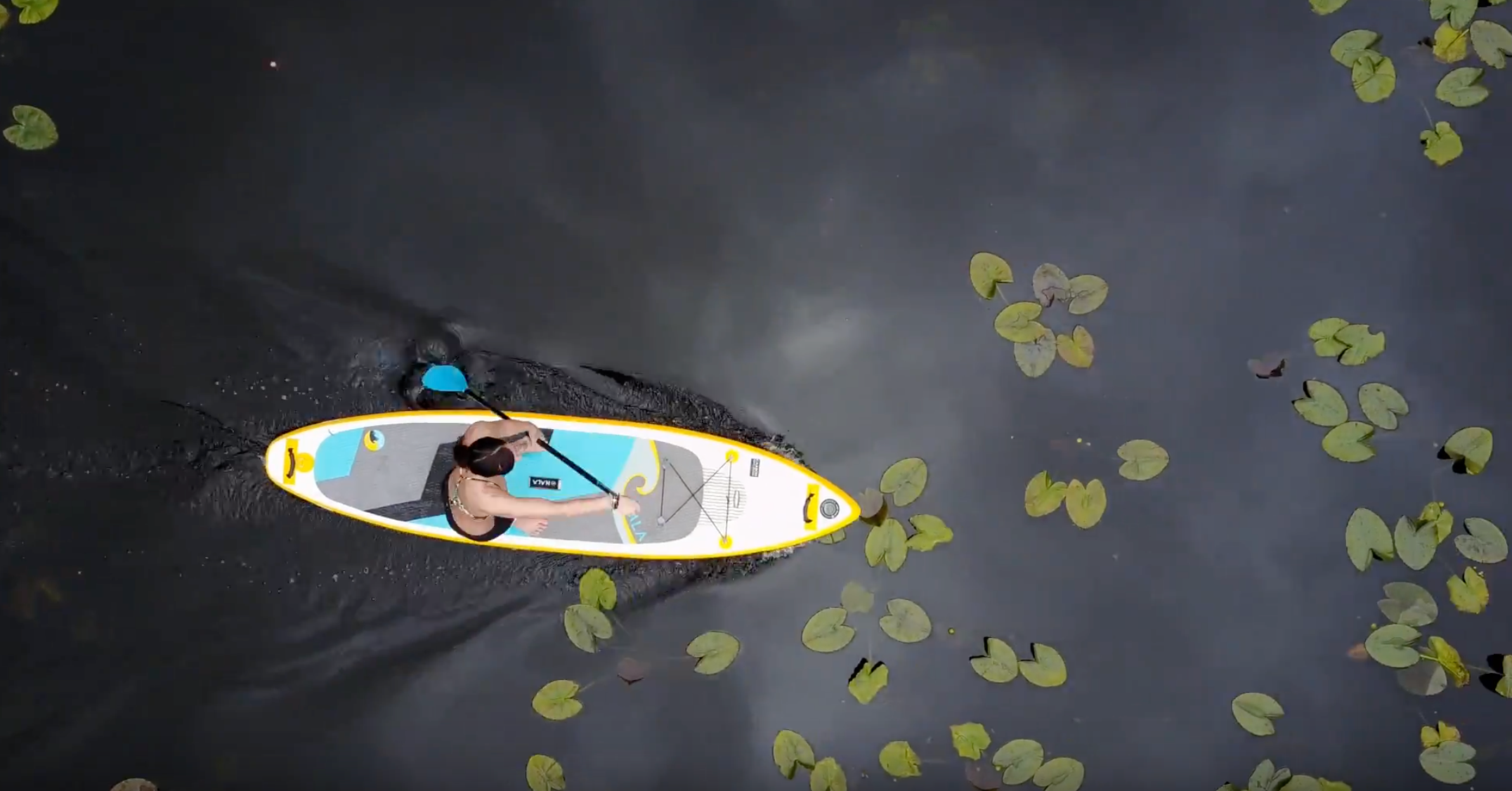 Introducing the Carbon Playa